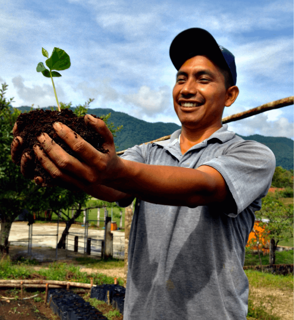 Mexico Chiapas Roast to Order Coffee